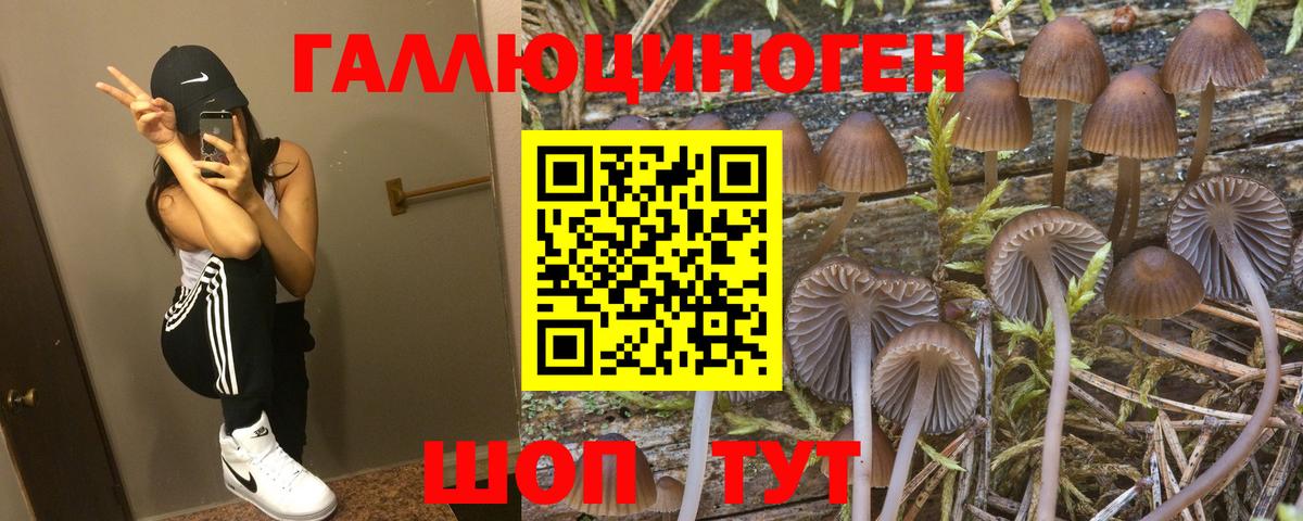наркота  Псилоцибиновые грибы GOLDEN TEACHER  Вход с VPN  Родники  Галлюциногенные грибы мухоморы 