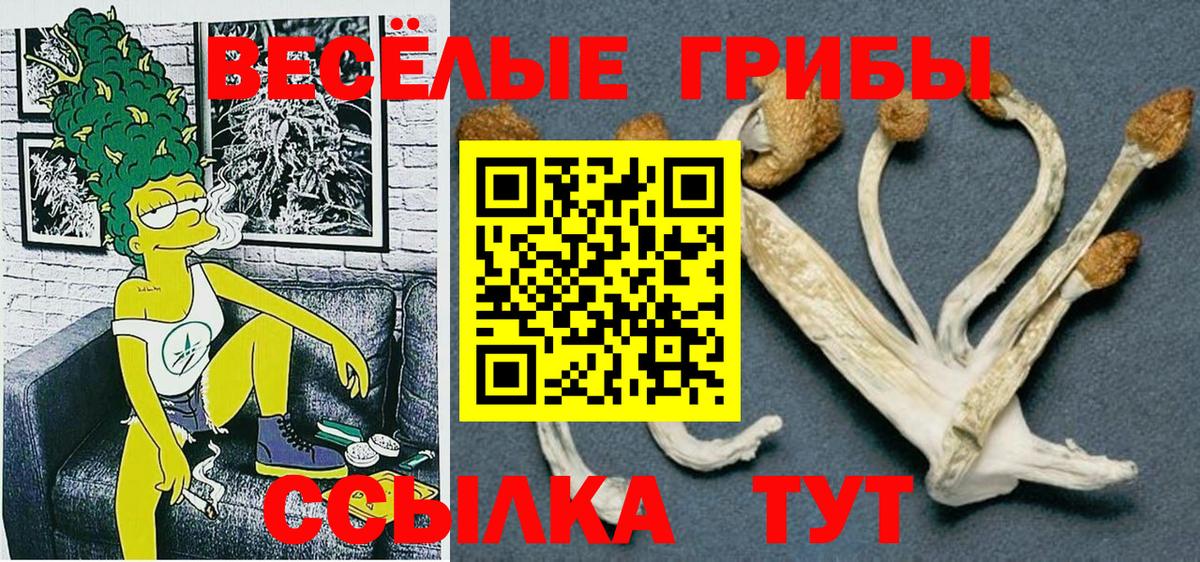 Галлюциногенные грибы ЛСД Родники
